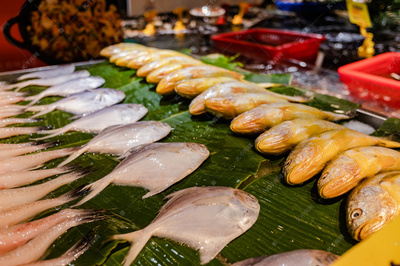 水產品之美 冰鮮魚類的生鮮水產世界