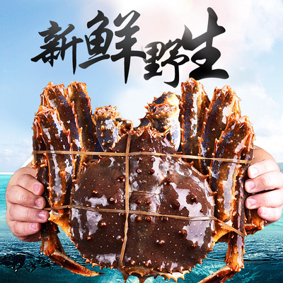 順豐包郵3-3.5斤霸王蟹 進口阿拉斯加帝王蟹，冷凍水產美味直送