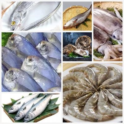 開漁迎鮮 東海海鮮饕餮盛宴，你準備好了嗎？