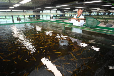 浙江湖州 智能化循環水養殖開啟水產養殖新篇章，效益與品質雙提升