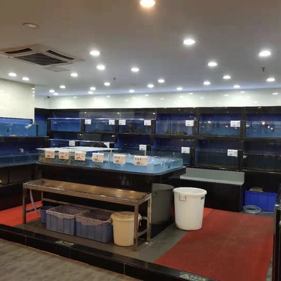 廣州東川超市 定制不規(guī)則海鮮池制冷機，打造鮮活水產(chǎn)品展示新體驗