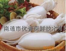守護(hù)海洋之鮮 DMP水產(chǎn)品保鮮劑與蝦鮮寶的應(yīng)用與展望