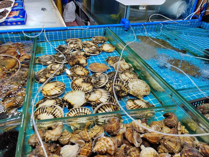 探尋水產(chǎn)市集 鮮美水產(chǎn)品的尋味之旅