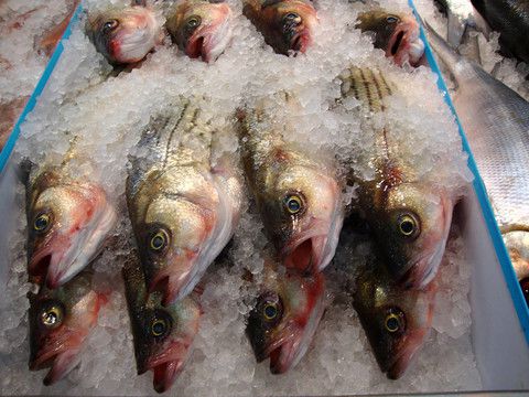 餐桌上的“隱形風(fēng)險” 這4類魚或?qū)ι眢w有害，再喜歡也請管住嘴